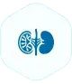 Nephrology
